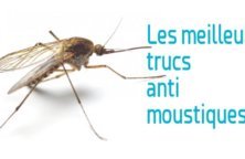 astuces contre moustiques 222x144