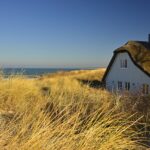 Vices cachés d’une maison ancienne : Ce que vous devez absolument vérifier avant d’acheter !